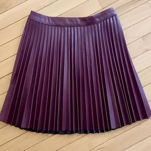 Knee Length Pleated Skirt